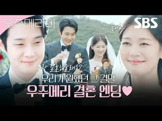 A 90-day camouflage honeymoon story of two men and women trying to shoot the hig