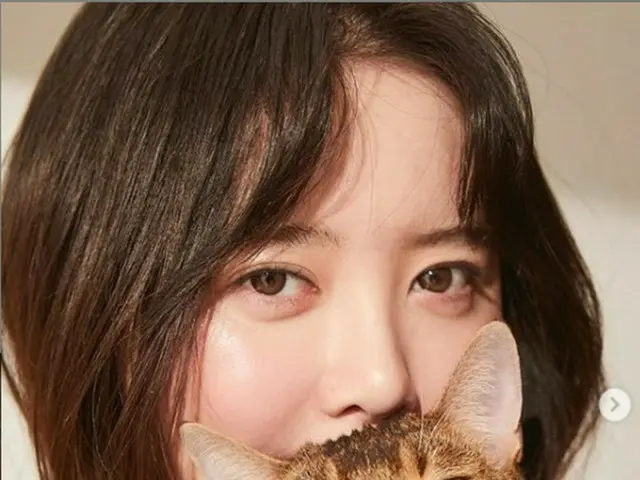 Actress Ku Hye sun plans to donate 1 ton of food to a group for abandoned petsand reports on SNS. .