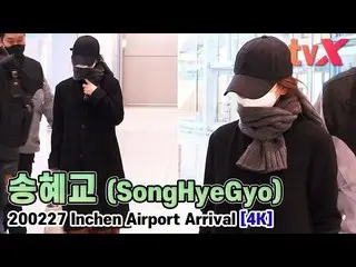[Fan Cam X] Song Hye Kyo (SongHyeGyo), "First captured at the airport after divo