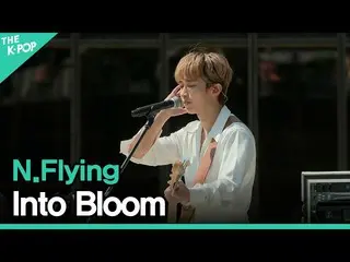 [Official sbp]  N.Flying_  (N.Flying_ _ ) --It has bloomed. (Into Bloom) ㅣ LIVE 