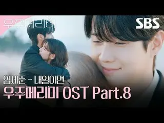 A 90-day camouflage honeymoon story of two men and women trying to shoot the hig