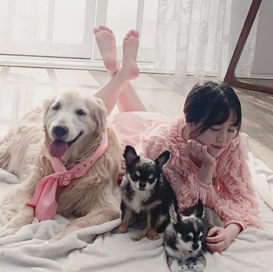Actress Ku Hye sun takes a family photo while protecting the end of her dog