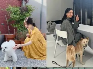 Actress Song Hye Kyo bumps into Um Jung Hwa while walking her dog...The dogs also greet each other friendly