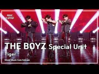 [#Sound Full Cam 8K] THE BOYZ_ _  Special Unit (THE BOYZ_  Special Unit) – Tiger