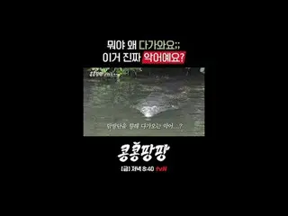 Steamy triple room Lee, GwangSu_ X Kim WooBin_ X
 100% pure _ _  Mexico free tra