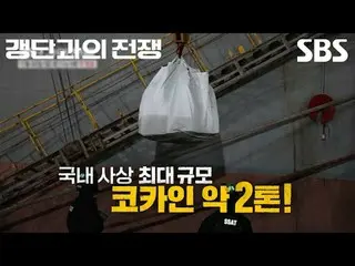 #SBS New Education #War on Gangs #Cho Jin Woo #Prosecutor's Office #Police #Kore