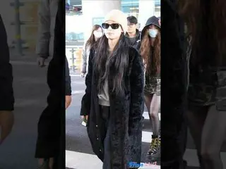 251207 ALLDAY PROJECT_ _  ANNIE airport arrival fancam by 스피넬
 #AllDayProject #A