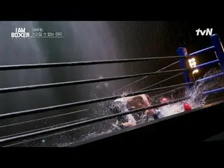 #IM(MONSTA X)_ Boxer #Ma Dong Seok_  #Kim Jung Kook _  #DEXIM Boxer EP.4


 Glob