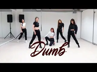 [D Official mnh] “CHUNG HA sister” BVNDIT “Dumb” Dance Practice   