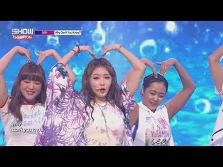 【📢】 IOIformer member CHUNG HACHUNG HA - Why Do not You Know, Show CHAMpion   