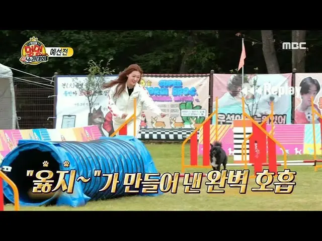 [Official mbe]   [2020 Idol Dog Championship] [4 trillion qualifying] LOONA Cher