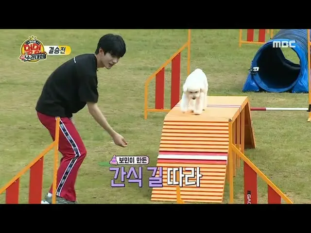 [Official mbe]   [2020 Idol Dog Championship] [Final] GoldenChild_  Bomin X JOY'