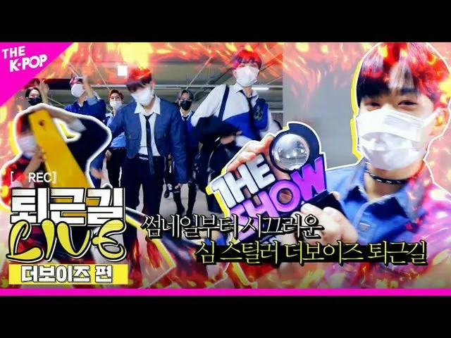 [Official sbp] [Live after work] Slapstick hot water core stills dollar (Stealer