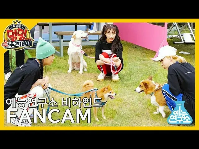 [T Official] MAMAMOO: [Entertainment Research Institute Behind Fan Cam] #Idol Do