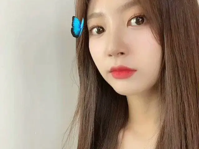 [T Official] LABOUM, [#next] 🦋 check ⚘! #LABOUM #HAEIN