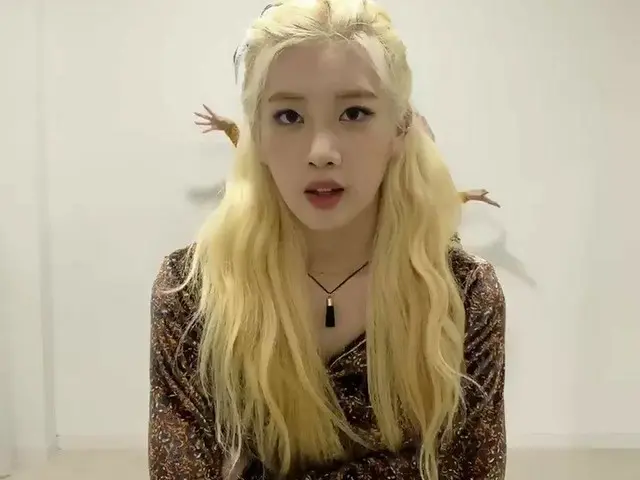 [T Official] #TwitterBlueroomLIVE with LOONA (Loona) and LOONA! It was fun to be