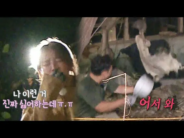 [Official sbe]  Yoon Eun Hye_  × This SUNG-YOON is sure to be the heart of the t