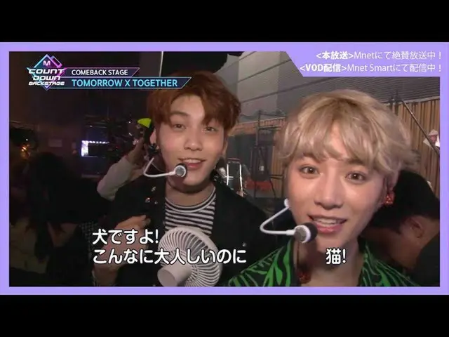 [J Official mn] ✨ TXT_ _  Comeback Memorial STREAM ✨ [M COUNTDOWN_ _  Backstage]
