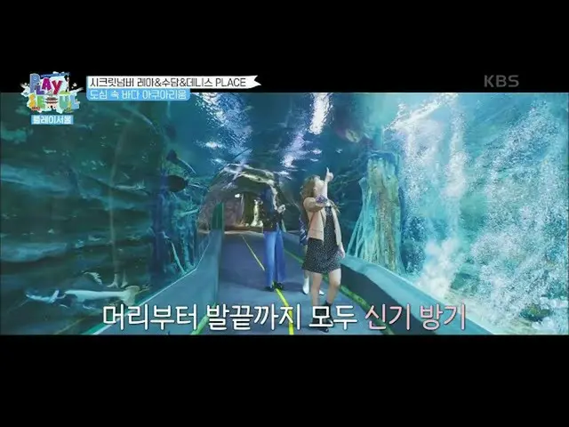 [Official kbk] Léa, Soodam & DENISE enjoy sightseeing in the sea aquarium in the