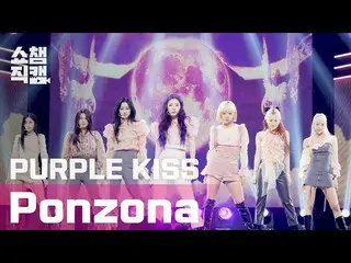 [Official mbm] [SHOW CHAMPION Fan Cam 4K] PURPLEKISS_  (PURPLEKISS_ _ ) --PURPLE