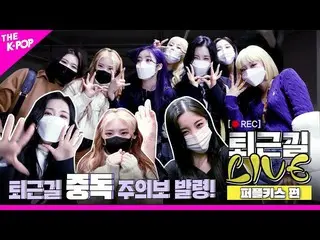 [Official sbp]   [Live 4K on the way home from work] PURPLE KISS_  The site on t