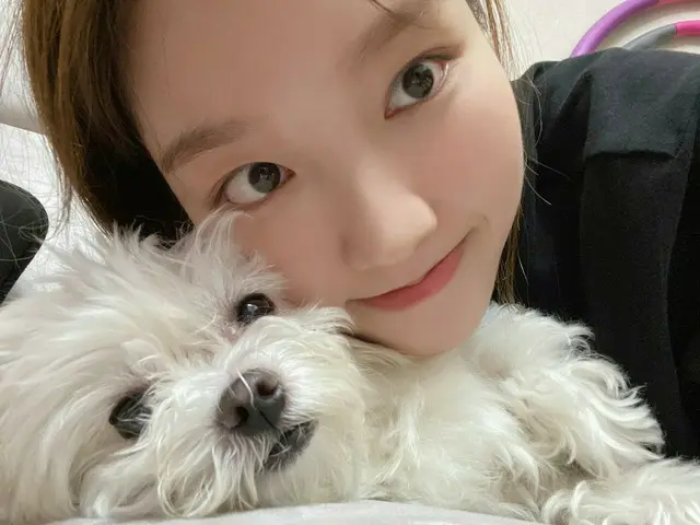 [T Official] LOONA (Loona), [#Plateau / #GoWon] Do you want to take a photo ofPocket Palace? 💕 🐶: