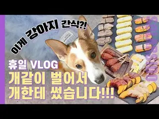 [T Official] MAMAMOO, [#Solar] Self Vlog ㅣ Pet Fair visit, dog supplies, dog foo