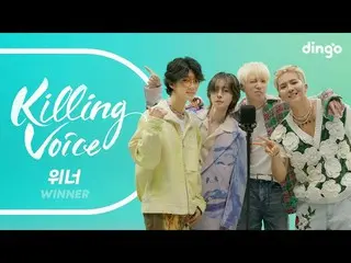 [Official din]   WINNER (WINNER _   _  ) killing voice live! | Dingo Music ..  