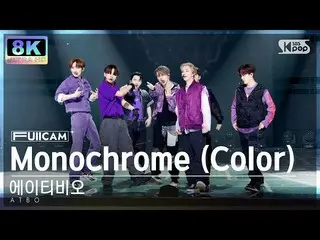 [Official sb1] [SUPER ULTRA 8K] Ativio "Monochrome (Color)" Full Cam (ATBO FullC