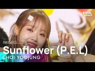 【 Official sb1】 CHOI YOOJUNG - Sunflower (PEL) 人気歌謡 _  inkigayo 20220918 .  