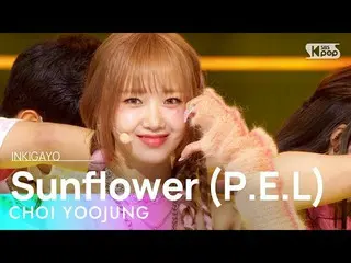 【 Official sb1】 CHOI YOOJUNG - Sunflower (PEL) 人気歌謡 _  inkigayo 20220925 .  