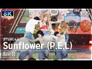 [Official sb1] [SUPER ULTRA 8K] Choi Yoo Jung "Sunflower (PEL)" Full Camera (CHO