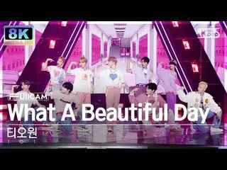 [Official sb1] [SUPER ULTRA 8K] Tiowan "What A Beautiful Day" Full Camera (TO1 F