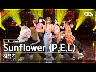 [Official sb1] [Abo 1 row full camera 4K] Choi Yoo Jung "Sunflower (PEL)" (CHOI 