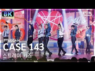 [Official sb1] [SUPER ULTRA 8K] Stray Kids "CASE 143" Full Cam (Stray Kids_ _  F