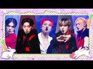 [Official mnk] [2023 Rabbit Year Special] ATEEZ_ _  (ATEEZ_ ) - HALAZIA #M COUNT