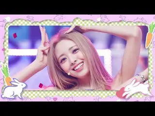 [Official mnk] [2023 Rabbit Year Special] ITZY _ _  ( ITZY ) - SNEAKERS #M COUNT