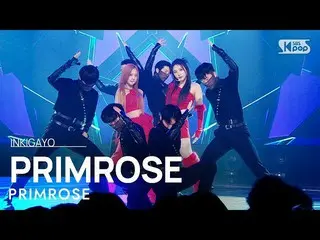 [ Official sb1] PRIMROSE_  (Primrose) - PRIMROSE_  人気歌謡 _  inkigayo 20230129 .  