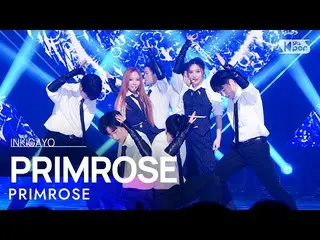 [ Official sb1] PRIMROSE_  (Primrose) - PRIMROSE_  人気歌謡 _  inkigayo 20230205 .  