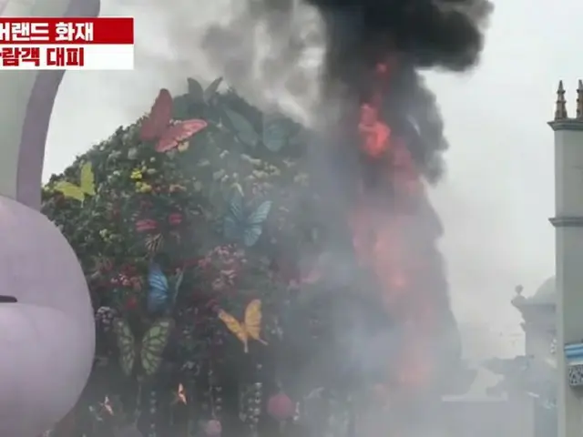 Fire from the wooden sculptures of Everland. The visitors were evaculated. . .