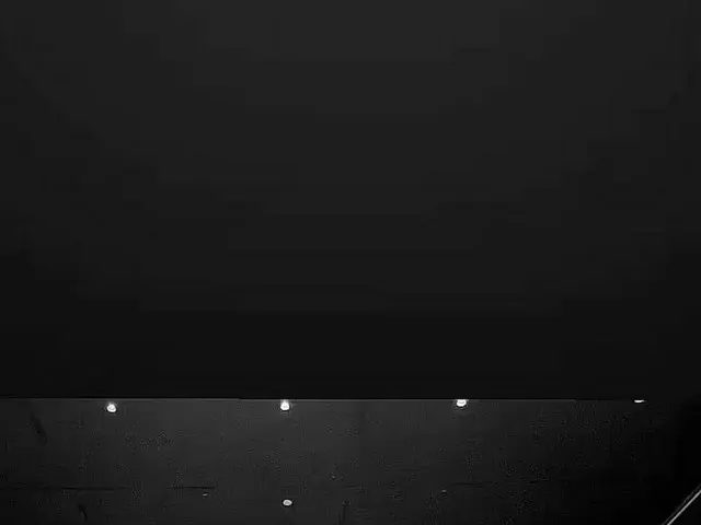 V (BTS) released the dance video with dancer Gof. . .