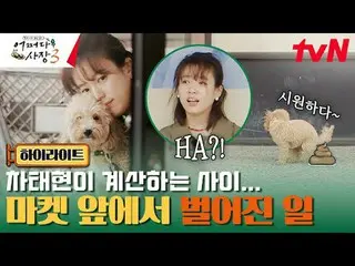 Stream on TV: #Cha・ Tae Hyeong _  #Jo In Sung_  #Probably the president 3 Probab