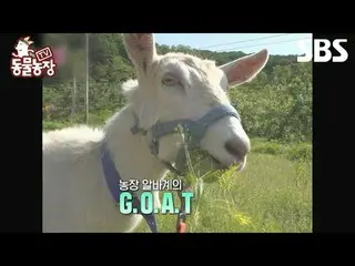 #Shin Dong-yup #Jeon SoNee (Jeon Sung-hee)_  #Tony Ahn (HOT)_  #JOY #Goat
 #TVAn