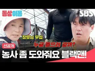 Blackman helps with agriculture
 #Kim MinJae_  #Choi Yura
 #SBS Monday Entertain