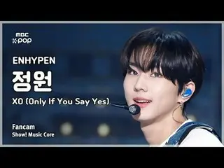 [#Shadow Fan Cam] ENHYPEN_ _  JUNGWON (ENHYPEN_ Garden) - XO (Only If You Say Ye