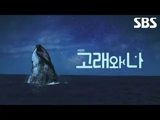 #Beluga #Han Ji Min_  #Paerk Hae Soo_ 
 #SBS Special #WhalesandI #WhalesandImovi