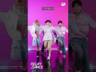 NCT _ _  WISH_  Relay dance of prominent members of the past LUDA stars

 More f