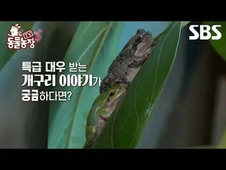 #Shin Dong-yup #Jeon SoNee (Jeon Sung-hee)_  #Tony Ahn (HOT)_  #JOY
 #TV Animal 