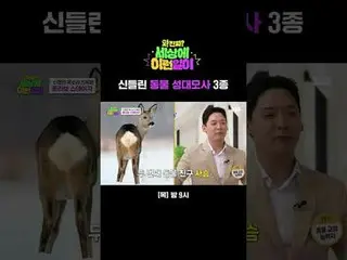 3 types of Sindrin animal vocal cord yarn
 #Jun Hyun Moo_  #Baek Ji Yeong_  #Kim