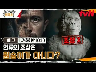 Stream on your TV:

 <Naked World History>
 [Tue] 10:10pm on tvN

 #Naked World 